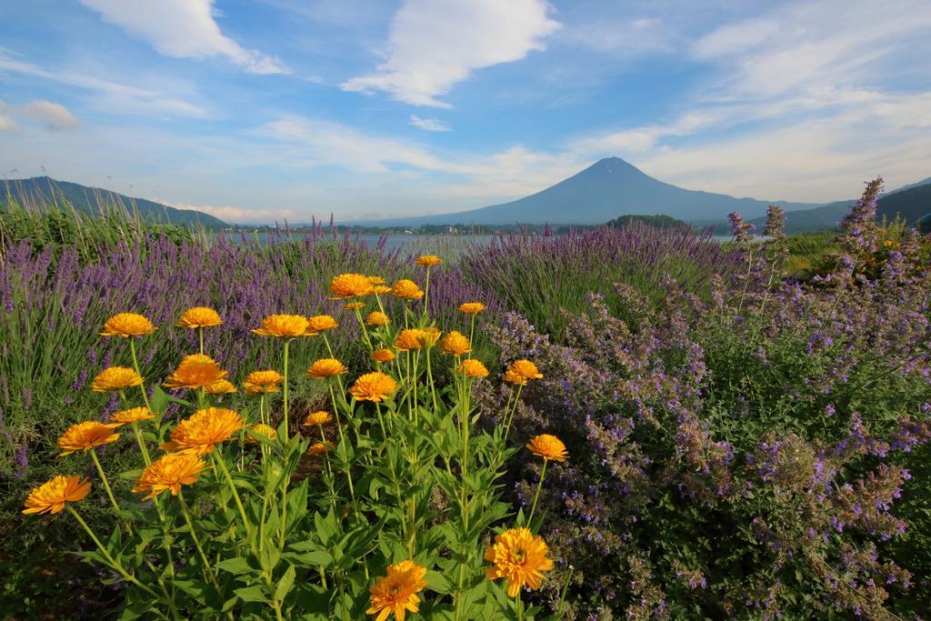 Pastorale * Fujikawaguchiko