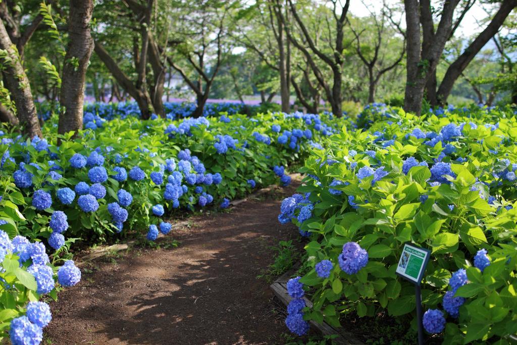 Holiday home Pastorale Fujikawaguchiko